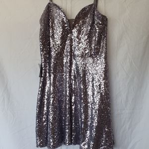 Charlotte Russe plus silver sequin skater dress